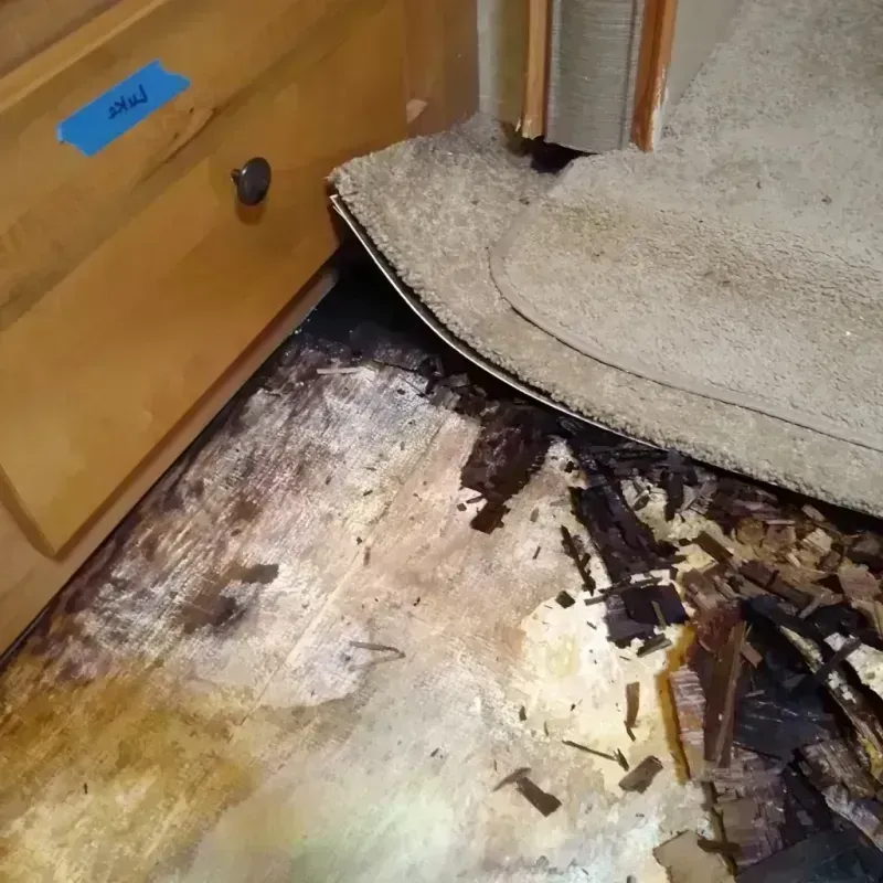 Wood Floor Water Damage in Lafayette County, WI